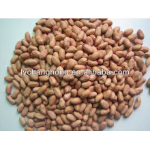 2013 new crop peanut kernel with lowest price